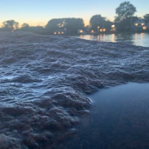 Meet your Posher, Eliza